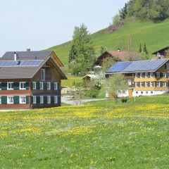Photovoltaik oder Solarthermie